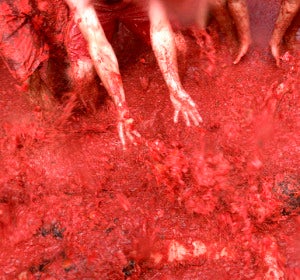 Baño en tomate en La Tomatina de 2008 Baño en tomate en La Tomatina de 2008