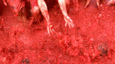 Ba&ntilde;o en tomate en La Tomatina de 2008