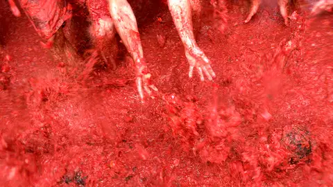 Baño en tomate en La Tomatina de 2008 Baño en tomate en La Tomatina de 2008