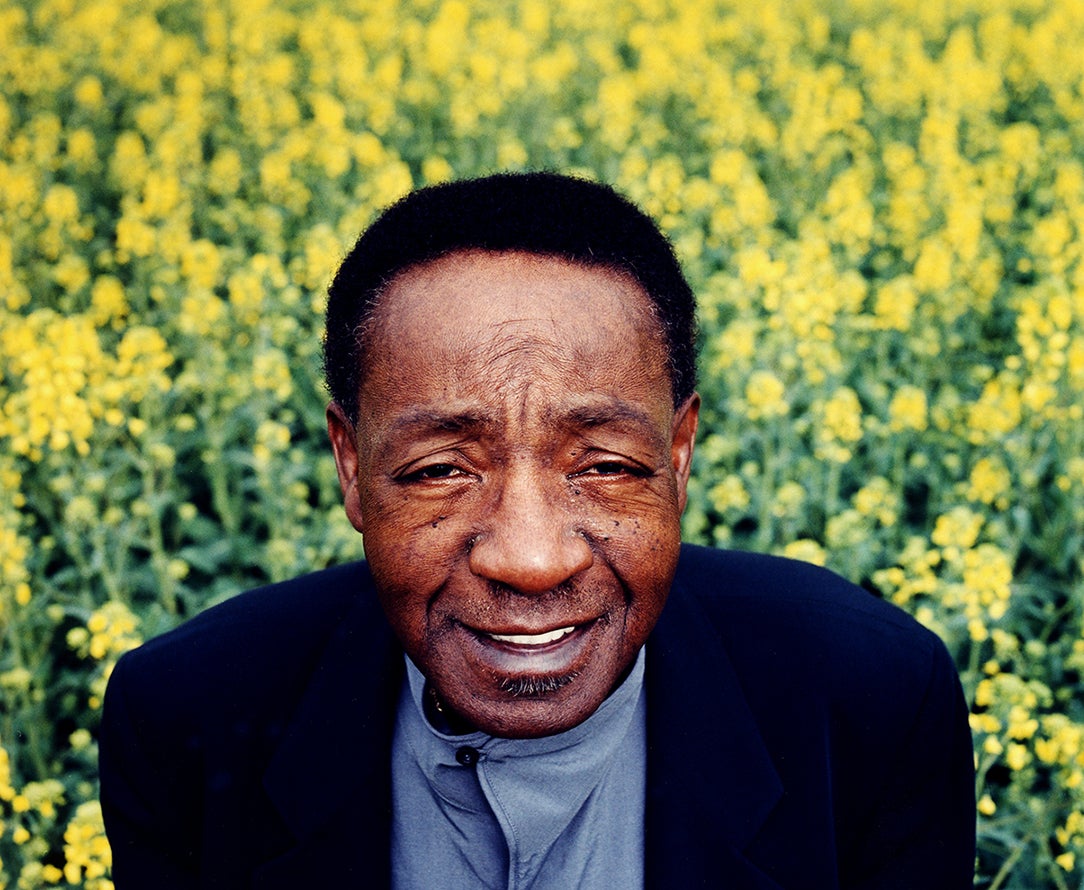 Versiones musicales: 'Sunny' Versiones musicales: 'Sunny'