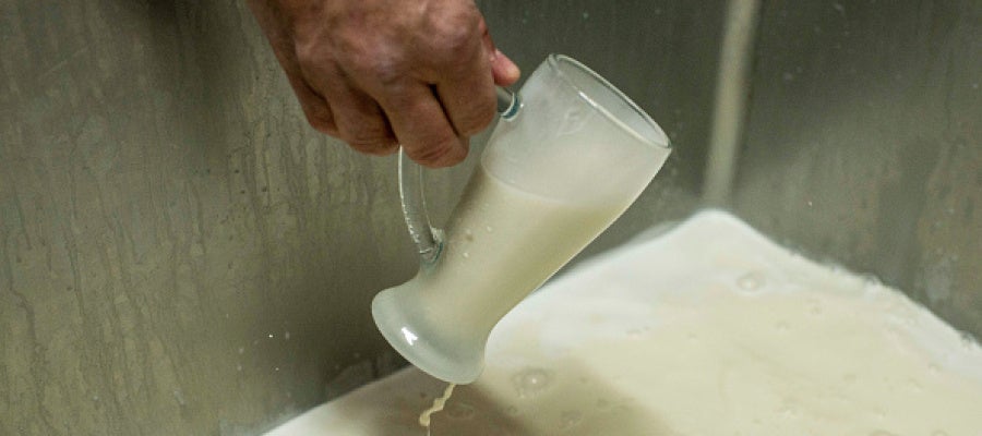 Horchata de Valencia Horchata de Valencia