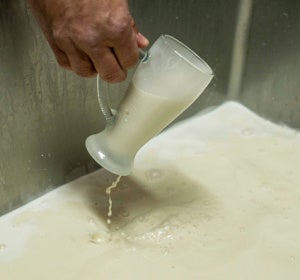 Horchata de Valencia Horchata de Valencia