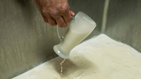 Horchata de Valencia