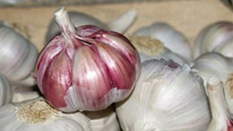 ajo morado pedro&ntilde;eras