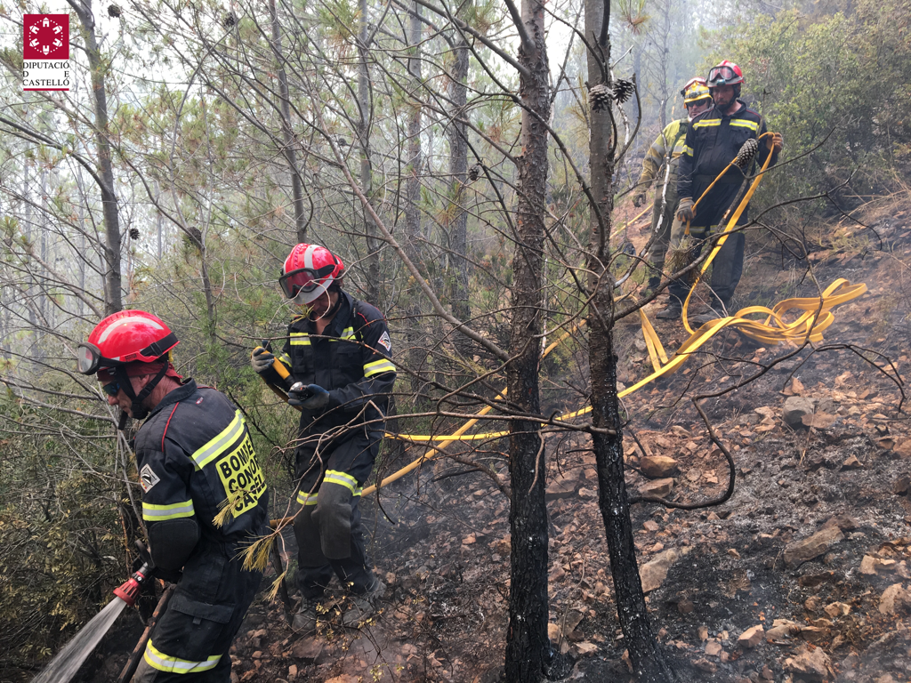 Apenas queda llama en el frente Noroeste del incendio forestal que se declaraba este lunes en Artana Apenas queda llama en el frente Noroeste del incendio forestal que se declaraba este lunes en Artana