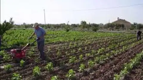 Un hombre trabaja sobre un campo ecológico en una imagen de archivo agricultura ecológica