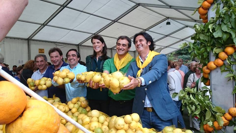 Todo preparado para celebrar la sexta edición de 'Limones Solidarios' Todo preparado para celebrar la sexta edición de 'Limones Solidarios'