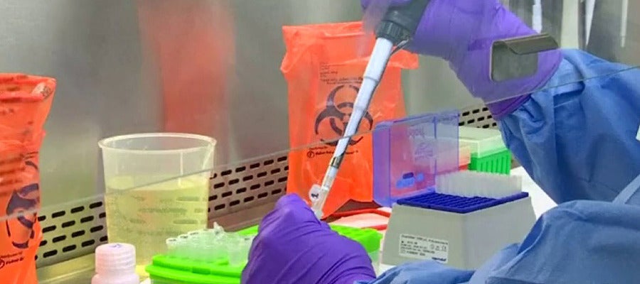 Vacuna virus Zika Vacuna virus Zika