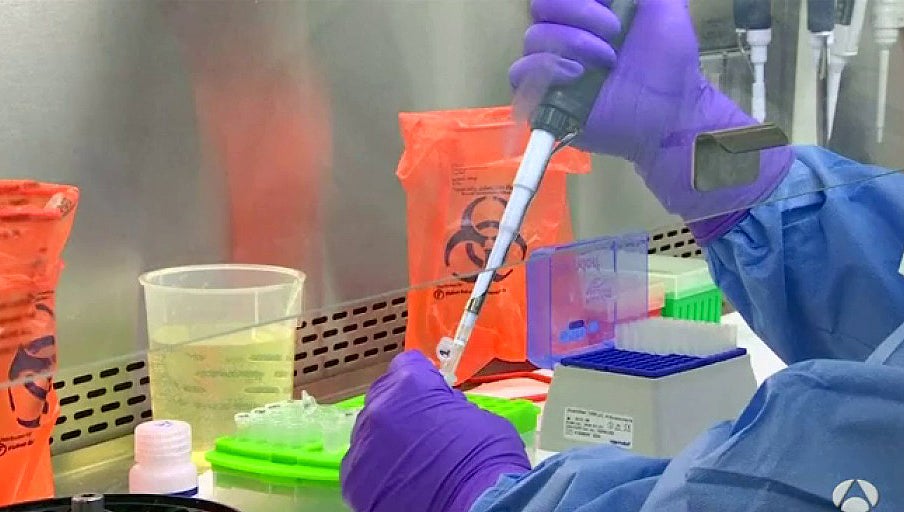 EEUU inicia un ensayo clínico con humanos para probar una vacuna contra el zika EEUU inicia un ensayo clínico con humanos para probar una vacuna contra el zika