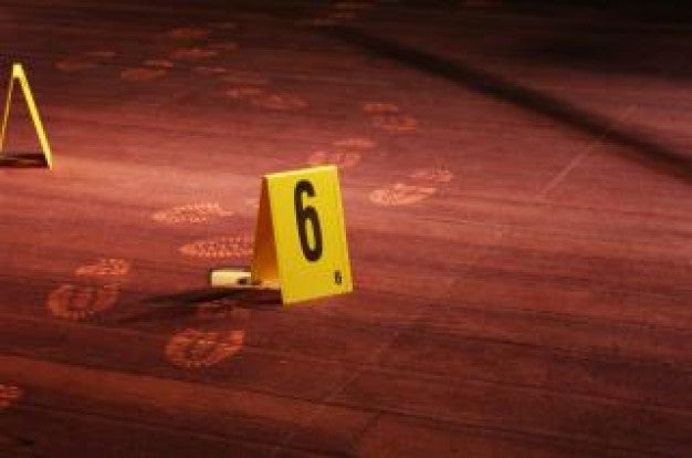 ¿Cómo se investiga la escena de un crimen? ¿Cómo se investiga la escena de un crimen?