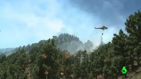 El Gobierno de Canarias da por controlado el incendio de La Palma El Gobierno de Canarias da por controlado el incendio de La Palma