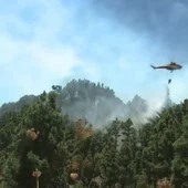 El Gobierno de Canarias da por controlado el incendio de La Palma El Gobierno de Canarias da por controlado el incendio de La Palma