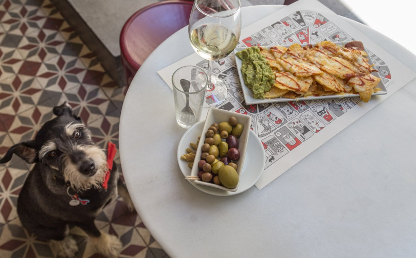 Tapear con tu perro en Madrid es posible Tapear con tu perro en Madrid es posible