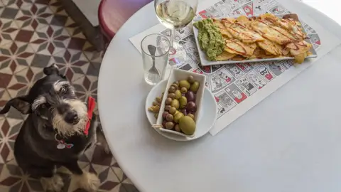 Perro en un bar Perro en un bar
