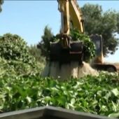 Frame 1.582532 de: CAMALOTE