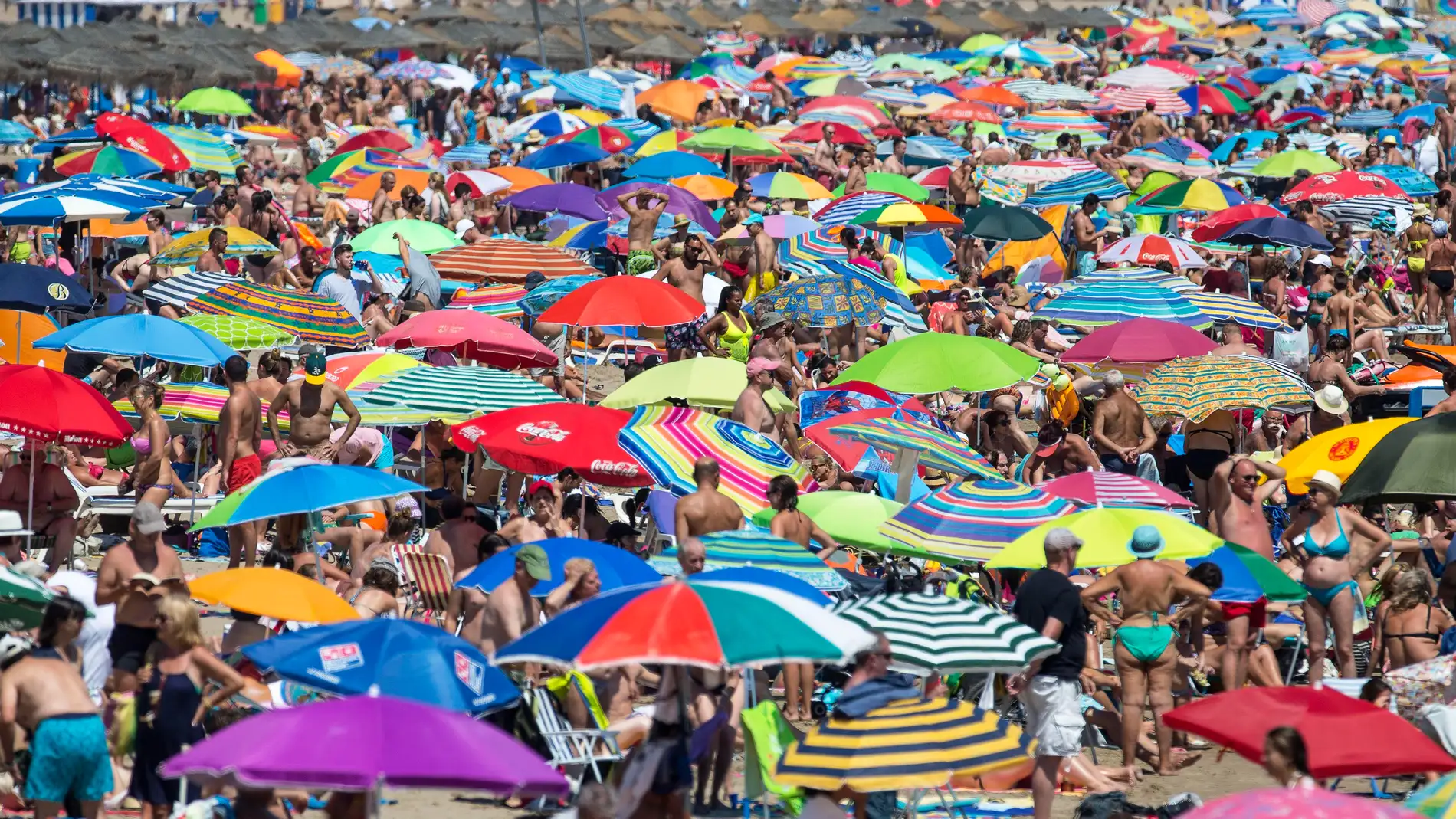 Miles de personas disfrutan del sol y el mar en las playas de la Malvarrosa y Las Arenas de Valencia