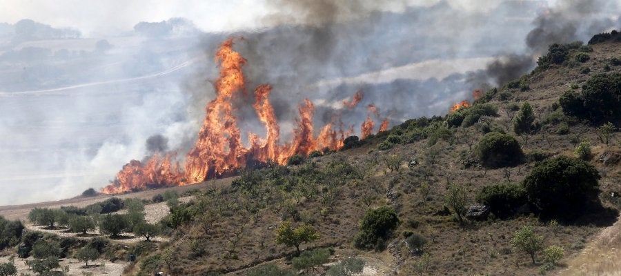 Llamas del incendio declarado en las inmediaciones de la localidad navarra de Tafalla, que afecta ya a una superficie de más de 2.000 hectáreas y cuyo origen pudo estar en una colilla arrojada desde un vehículo en la AP-15 Llamas del incendio declarado en las inmediaciones de la localidad navarra de Tafalla, que afecta ya a una superficie de más de 2.000 hectáreas y cuyo origen pudo estar en una colilla arrojada desde un vehículo en la AP-15