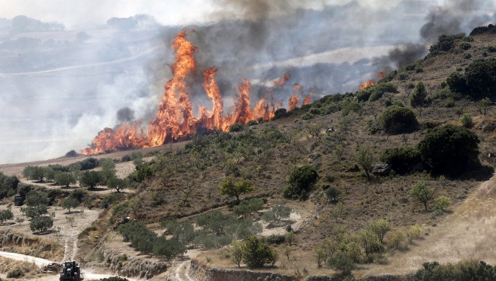 Llamas del incendio declarado en las inmediaciones de la localidad navarra de Tafalla, que afecta ya a una superficie de más de 2.000 hectáreas y cuyo origen pudo estar en una colilla arrojada desde un vehículo en la AP-15