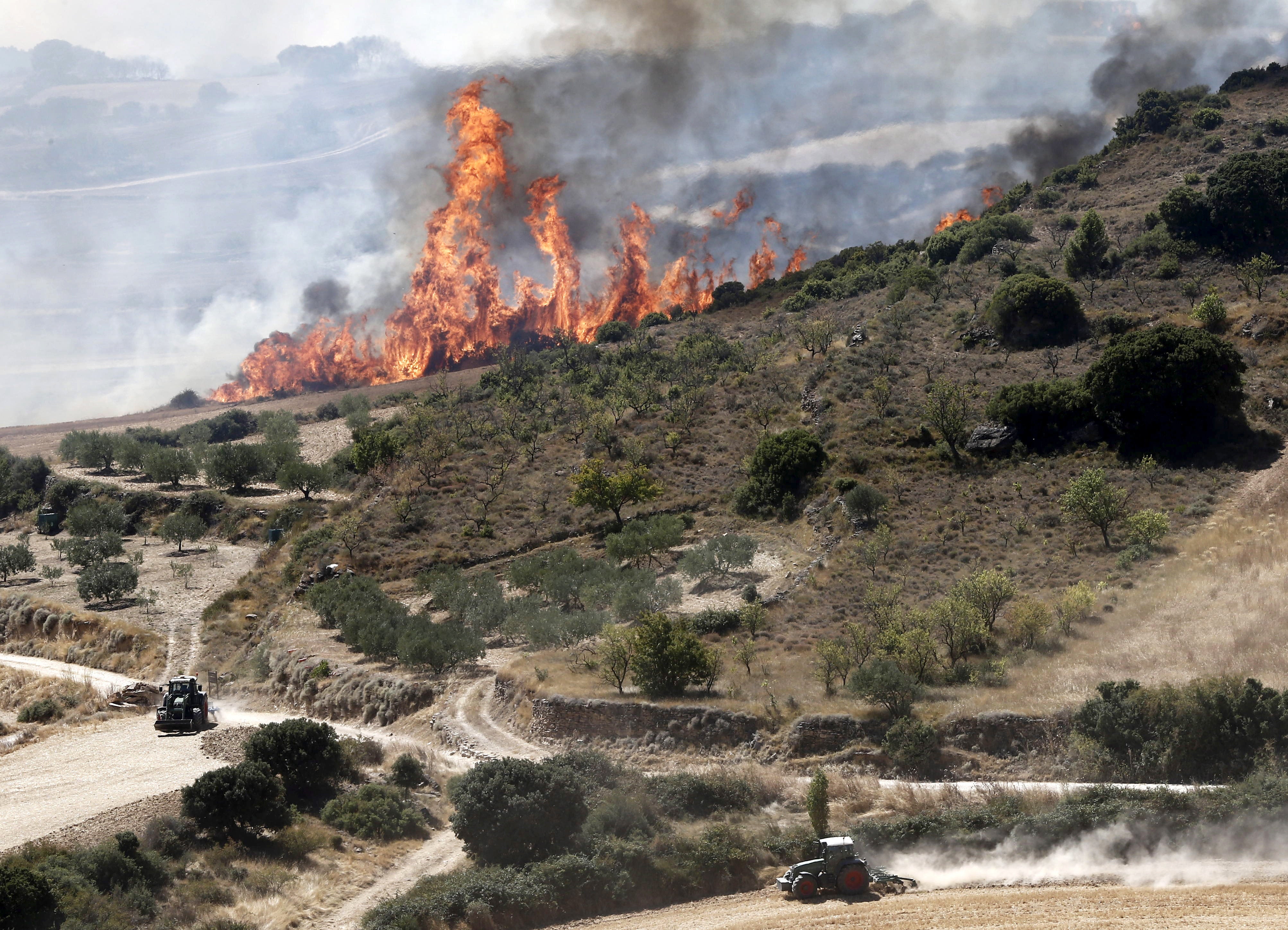 La Zona Media se recupera "de manera sorprendente en algunos parajes" del incendio de Pueyo de hace cuatro años. La Zona Media se recupera "de manera sorprendente en algunos parajes" del incendio de Pueyo de hace cuatro años.