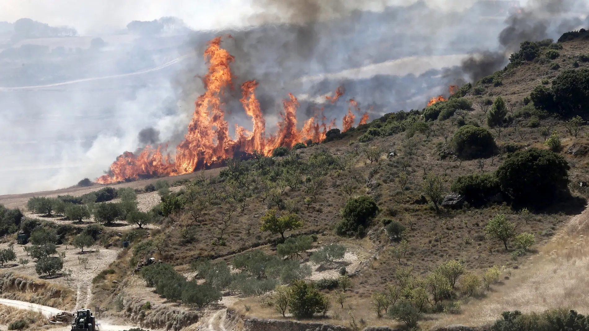 Llamas del incendio declarado en las inmediaciones de la localidad navarra de Tafalla, que afecta ya a una superficie de más de 2.000 hectáreas y cuyo origen pudo estar en una colilla arrojada desde un vehículo en la AP-15
