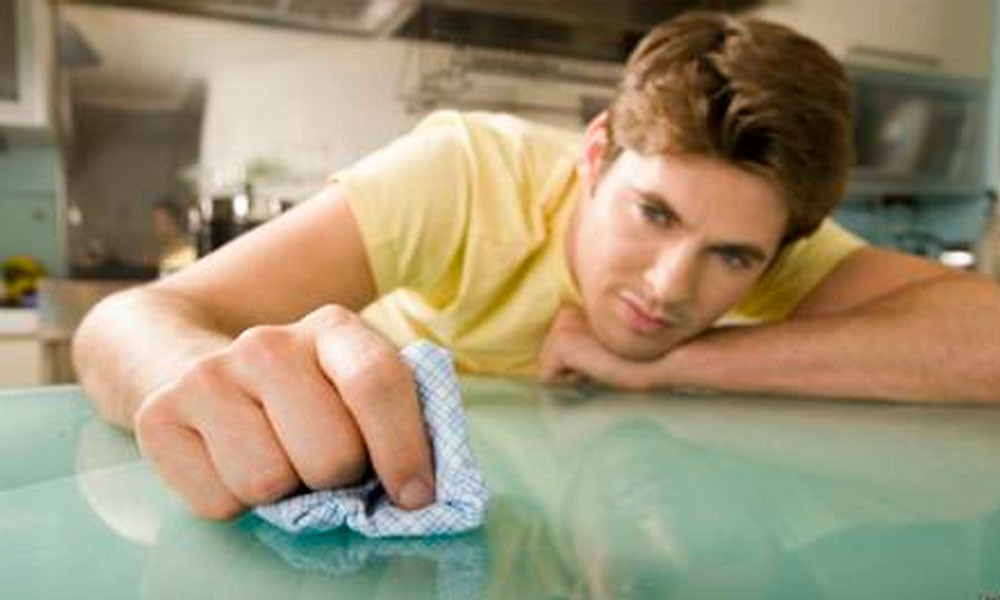 ¿Cómo proteger tu hogar de parásitos? ¿Cómo proteger tu hogar de parásitos?