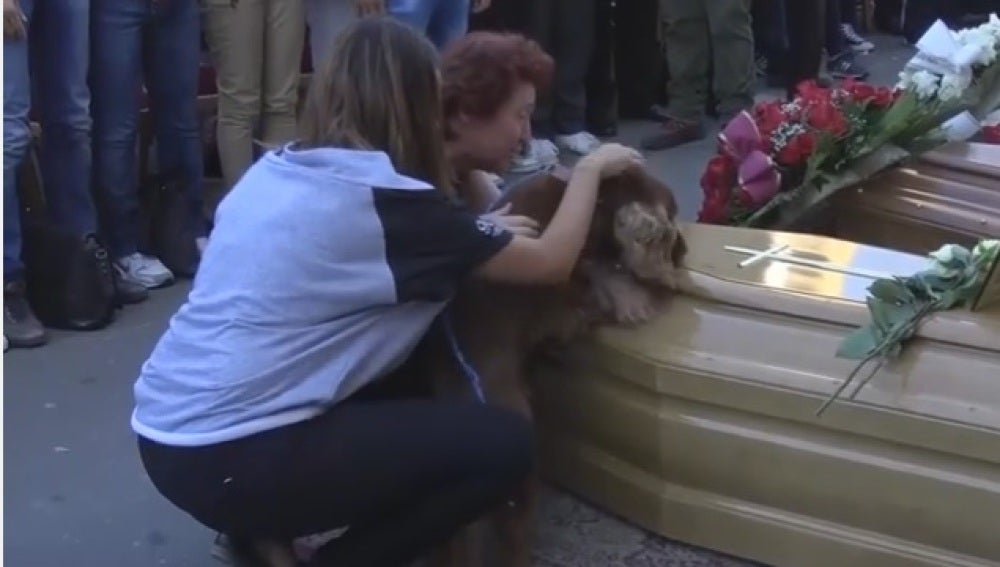 Un perro se despide de su dueño, que murió durante el terremoto de Italia