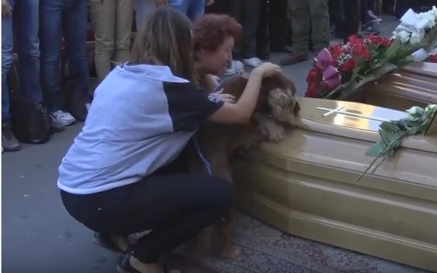 El perro de una de las víctimas del seísmo en Italia se despide de su dueño en su funeral El perro de una de las víctimas del seísmo en Italia se despide de su dueño en su funeral