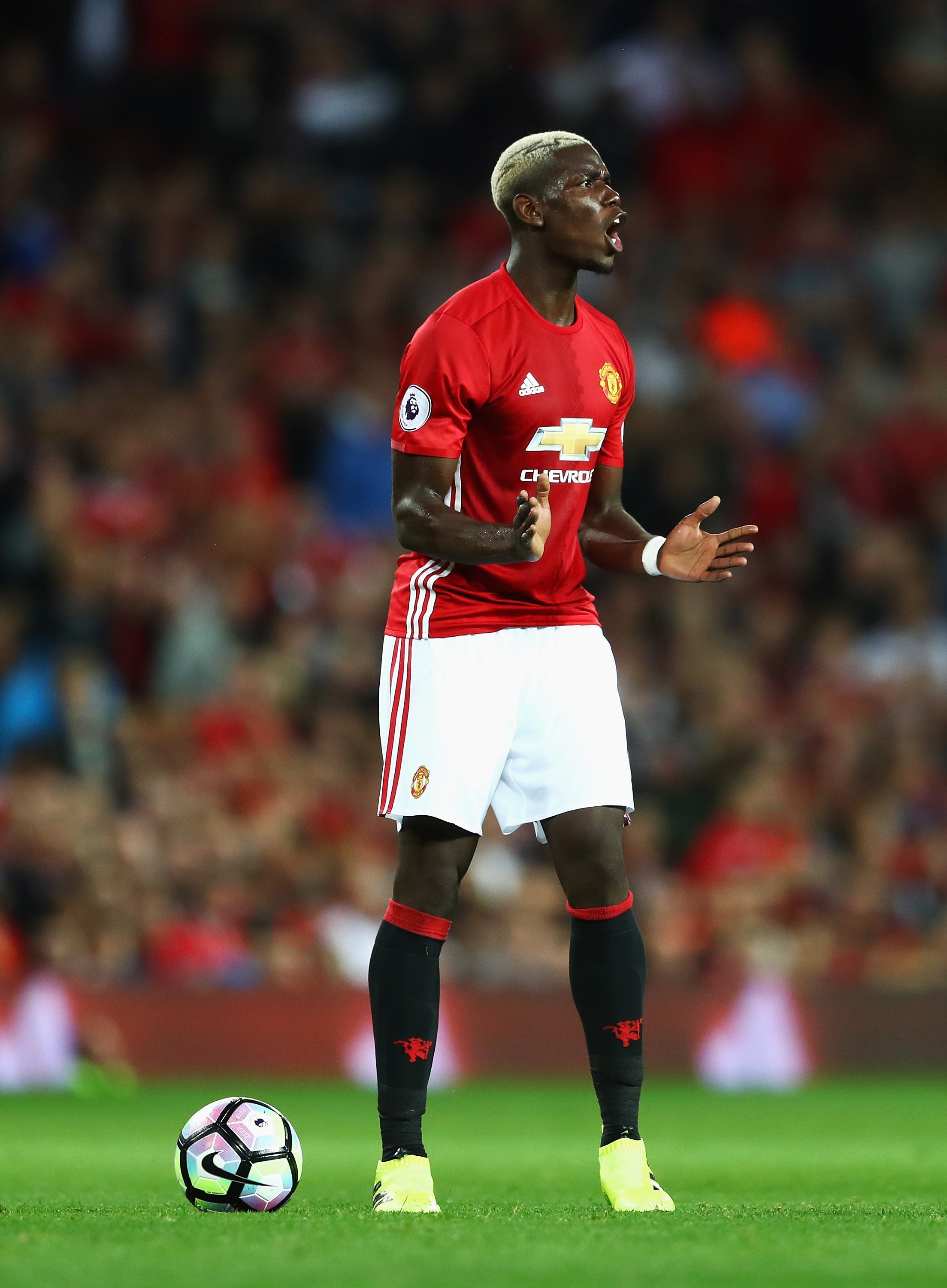 Pogba, a un fan: "Cambia a tu novia y conserva tu peinado" Pogba, a un fan: "Cambia a tu novia y conserva tu peinado"