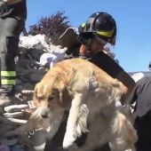 Los bomberos rescatando al perro de entre los escombros nueve días después del terremoto de Italia