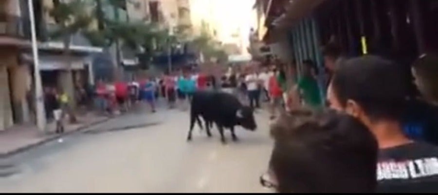 Imatge del primer bou de la vesprada en el festeig taurí del dissabte en el recinte de Vila-real. Imatge del primer bou de la vesprada en el festeig taurí del dissabte en el recinte de Vila-real.