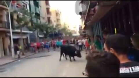 Imatge del primer bou de la vesprada en el festeig taur&iacute; del dissabte en el recinte de Vila-real.