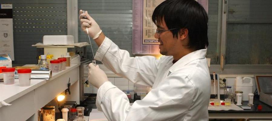 Un investigador en un laboratorio. Un investigador en un laboratorio.