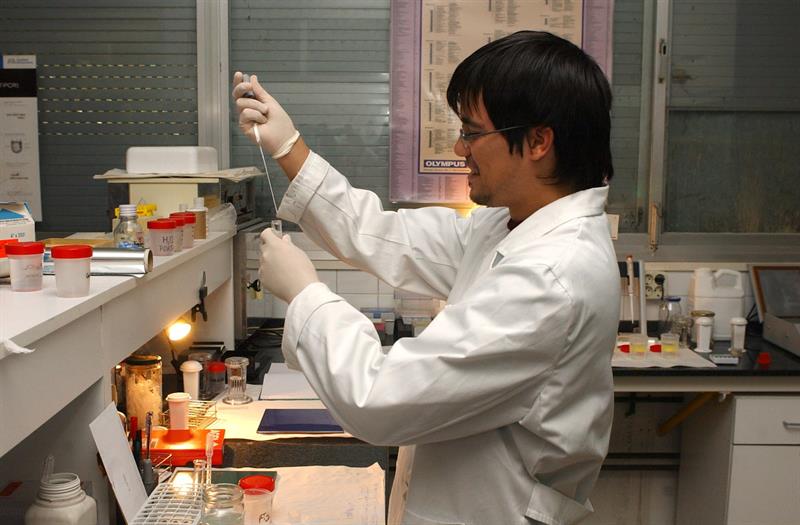 Descubren los genes en perros para las habilidades sociales Descubren los genes en perros para las habilidades sociales