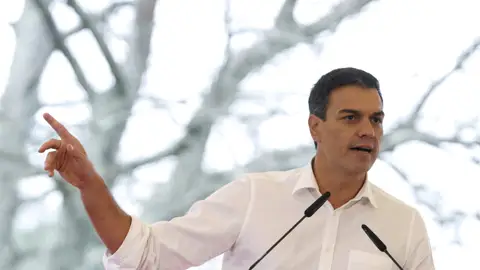 Pedro Sánchez Pedro Sánchez