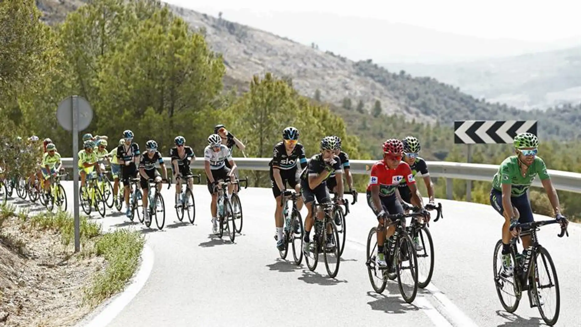 El pelotón durante la Vuelta Ciclista a España 