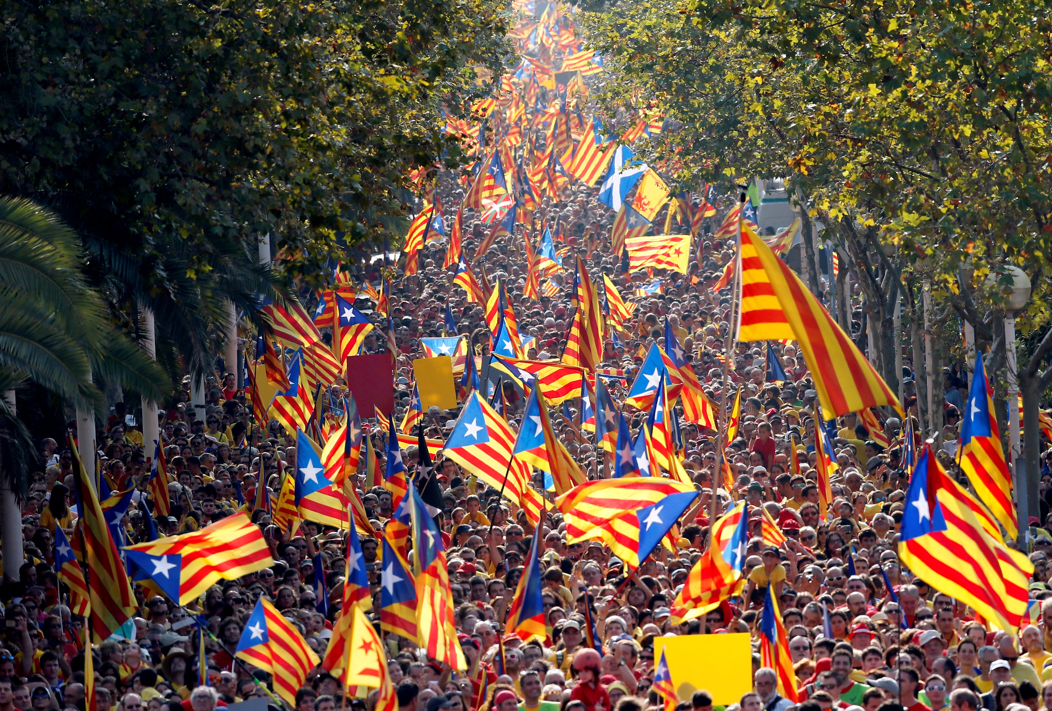 Los Mossos detienen a varios investigados por quemar fotos del Rey en la Diada Los Mossos detienen a varios investigados por quemar fotos del Rey en la Diada