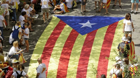 Vista de una estelada