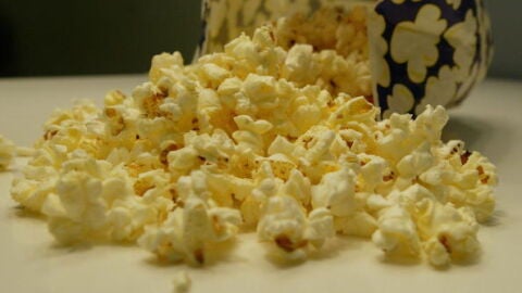 Comida ca&iacute;da al suelo