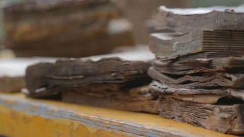 La casa de los libros perdidos