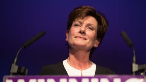 Diane James, nueva l&iacute;der del UKIP