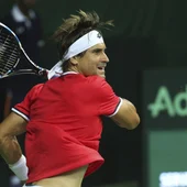 David Ferrer ejecuta un 'drive' ante Saketh Myneni David Ferrer ejecuta un 'drive' ante Saketh Myneni