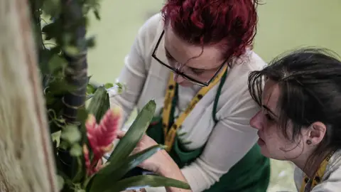 Artesanos floristas Artesanos floristas