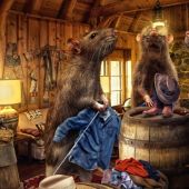 Ratas con ropa