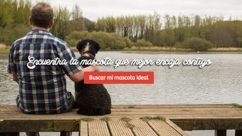 Plataforma de adopci&oacute;n matchcota.com