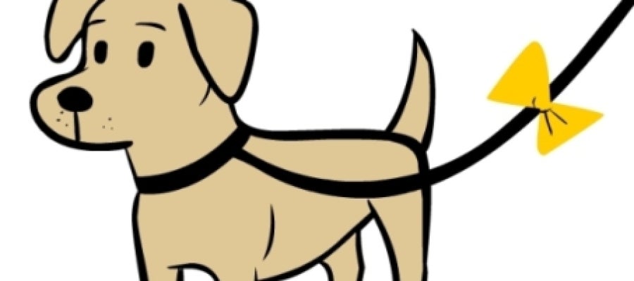 The yellow dog project The yellow dog project
