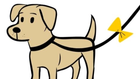 The yellow dog project