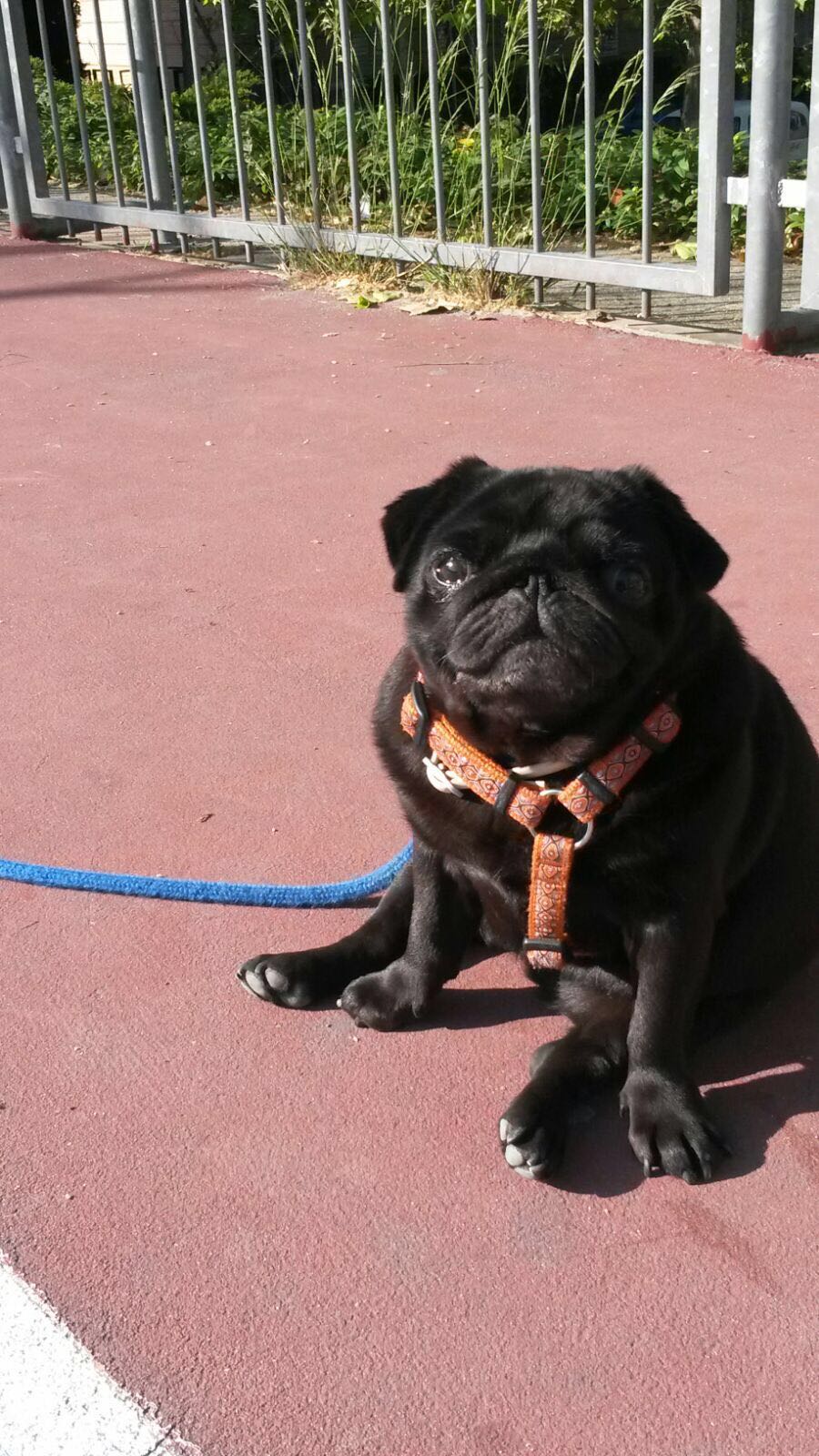 "A mi me miran y luego se dan cuenta que el otro es el famoso" "A mi me miran y luego se dan cuenta que el otro es el famoso"