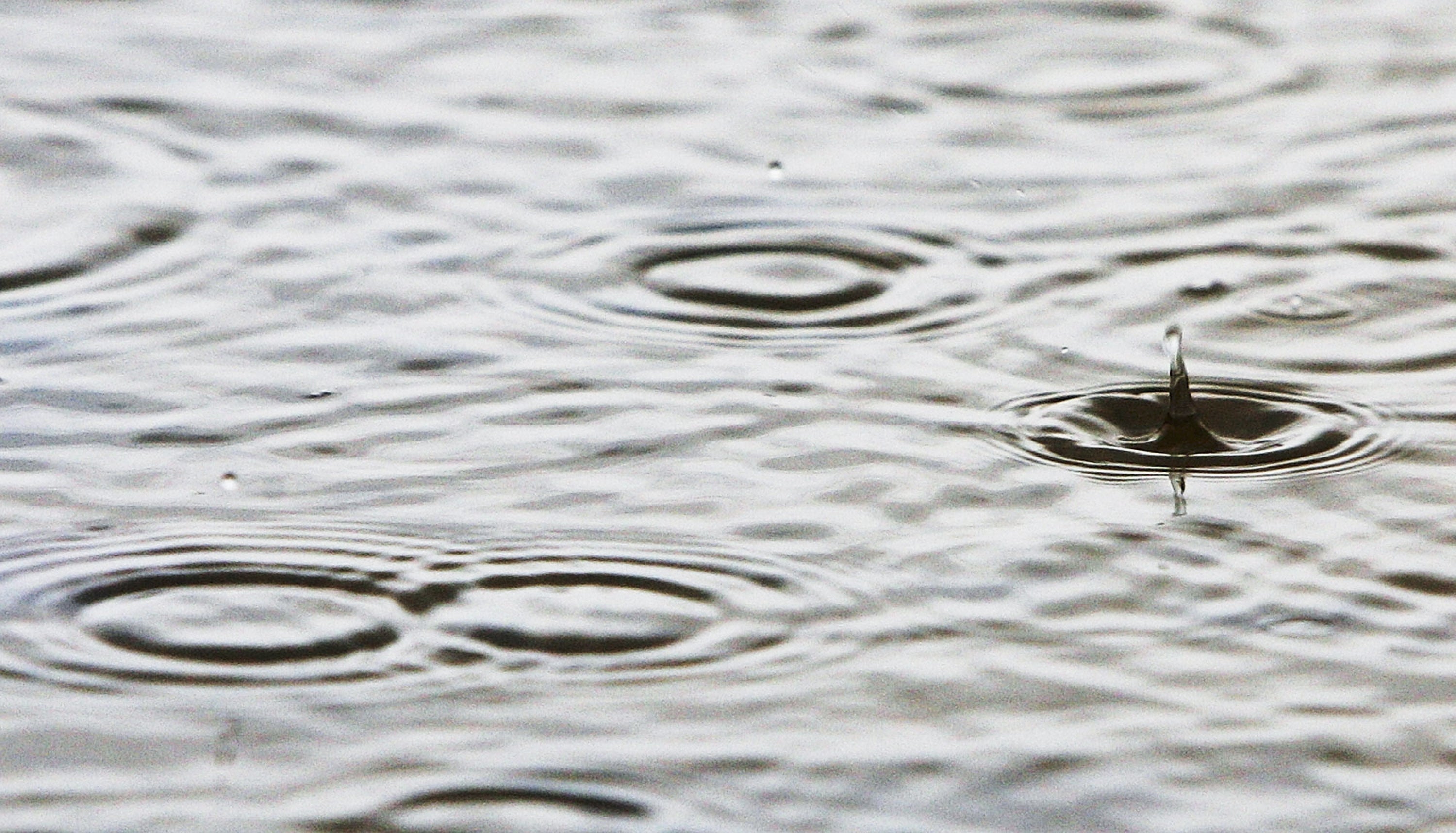 La OCU detecta diferencias de hasta el 352% en el precio del agua en 53 ciudades españolas La OCU detecta diferencias de hasta el 352% en el precio del agua en 53 ciudades españolas