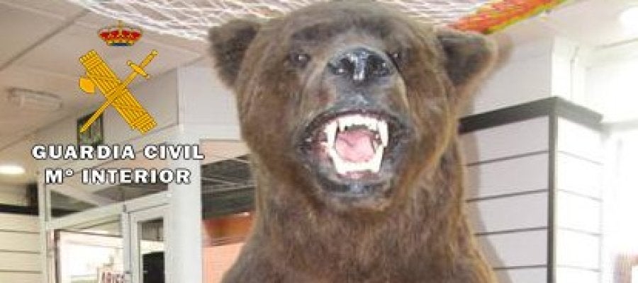 El ejemplar disecado de oso pardo en peligro de extinción que ha incautado el Seprona El ejemplar disecado de oso pardo en peligro de extinción que ha incautado el Seprona