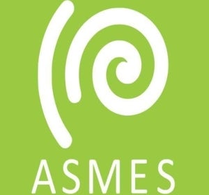ASMES ASMES